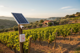SOLAR GÜVENLİK MİNİ